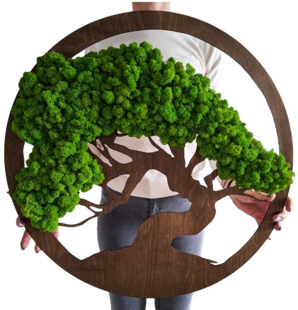 Drzewo z chrobotka bonsai II w kole personalizacja