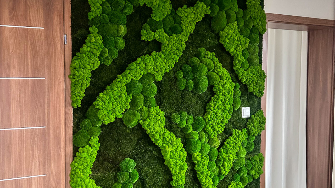 Zielona ściana z mchu stabilizowanego – panele na wymiar do domu i biura