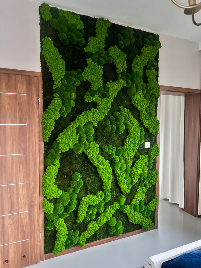 panel z chrobotka , mchu mieszanego