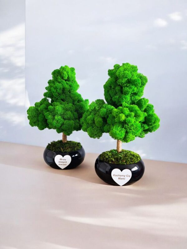 Drzewko bonsai z chrobotka stabilizowanego w doniczce misa personalizacja