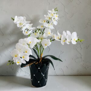 storczyk sztuczny biały