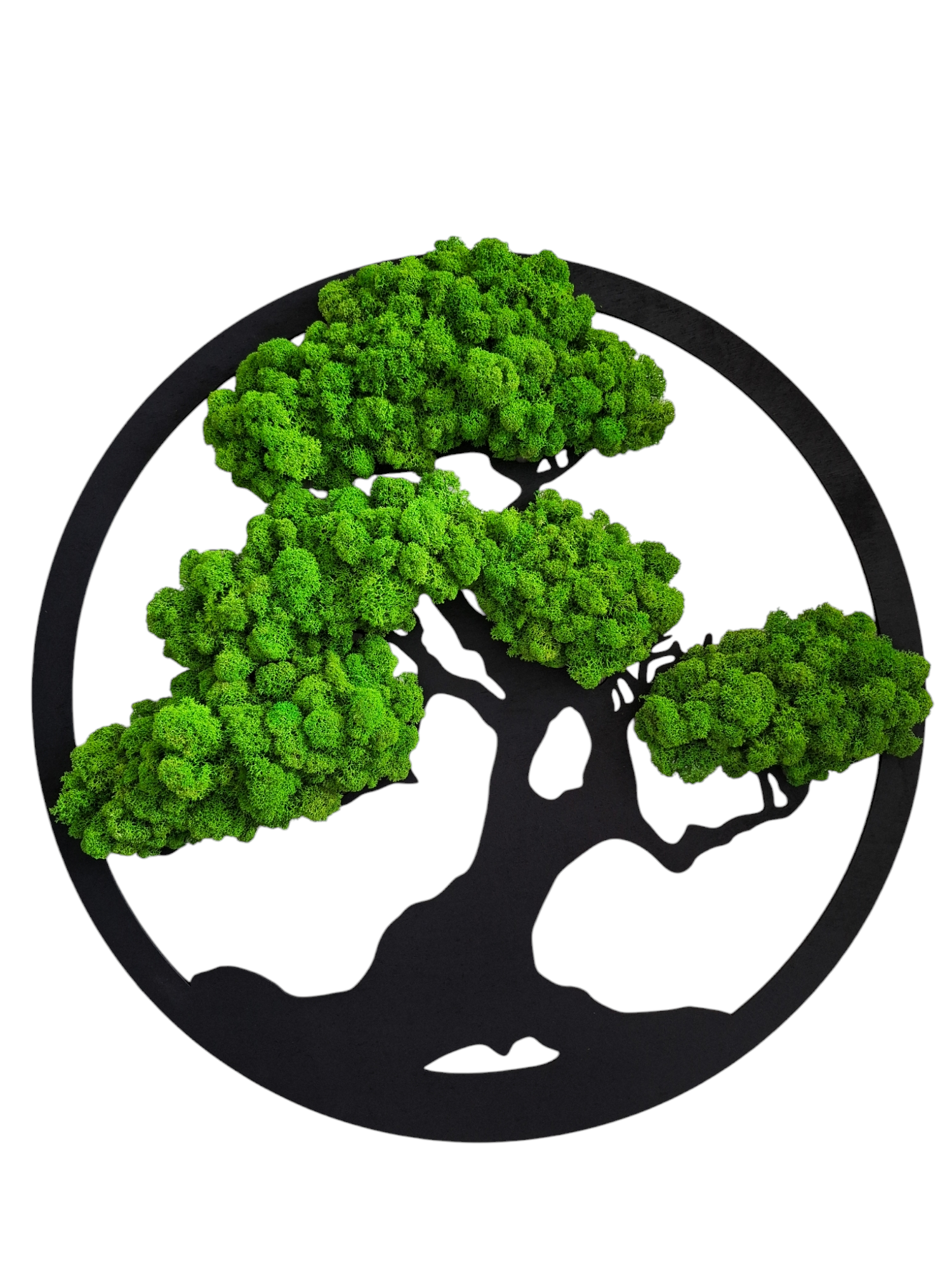 https://madewithpassion.pl/wp-content/uploads/2026/04/drzewko-z-chrobotka-bonsai-w-kole-40-cm.png
